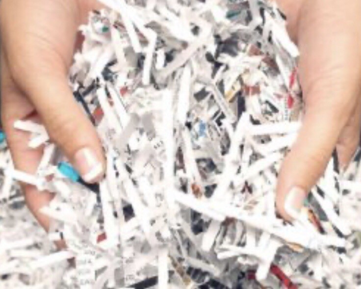 Shredded paper – by the pound lb lbs