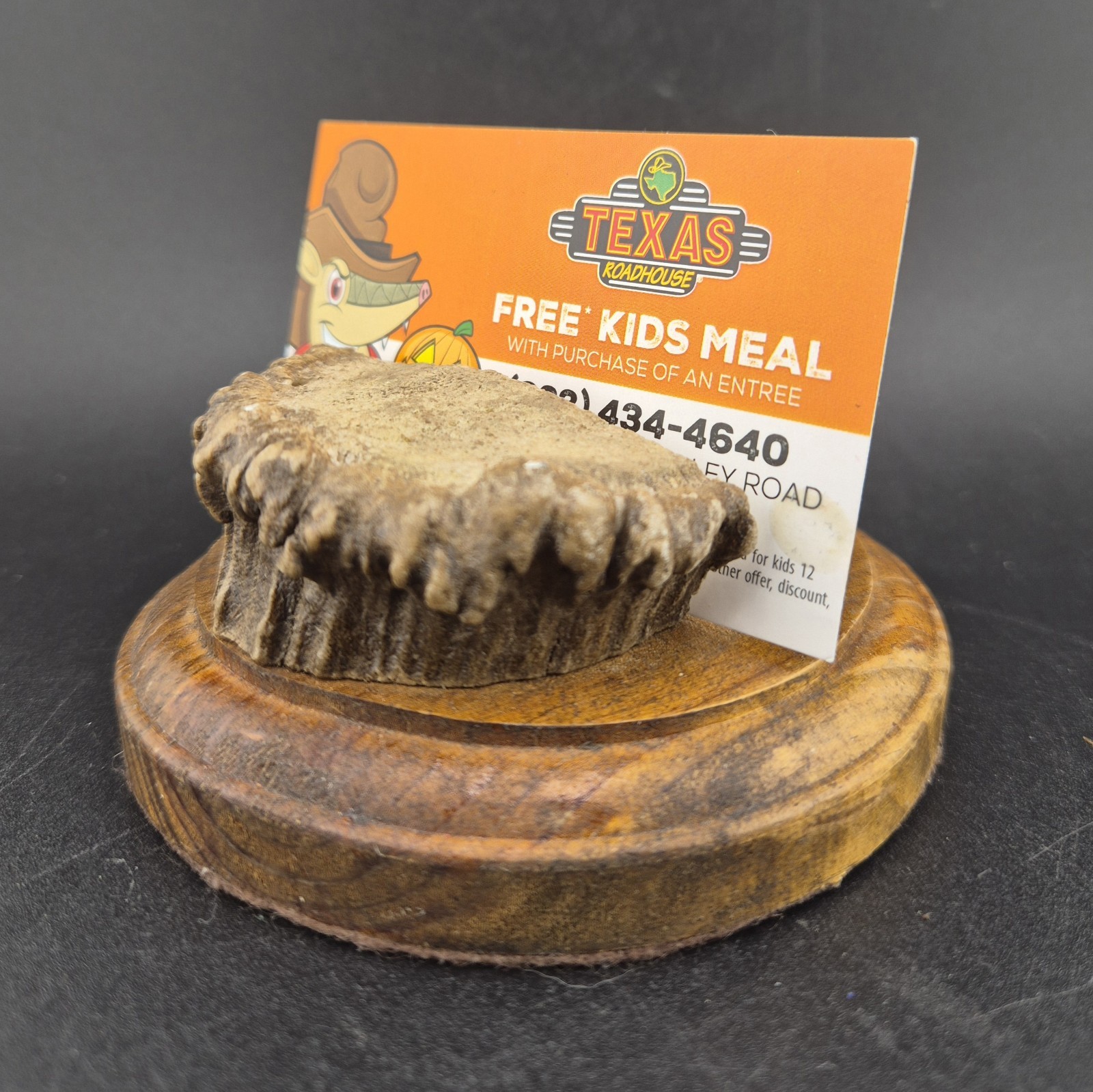 Rustic Handmade Elk Antler Burr Business Card Holder