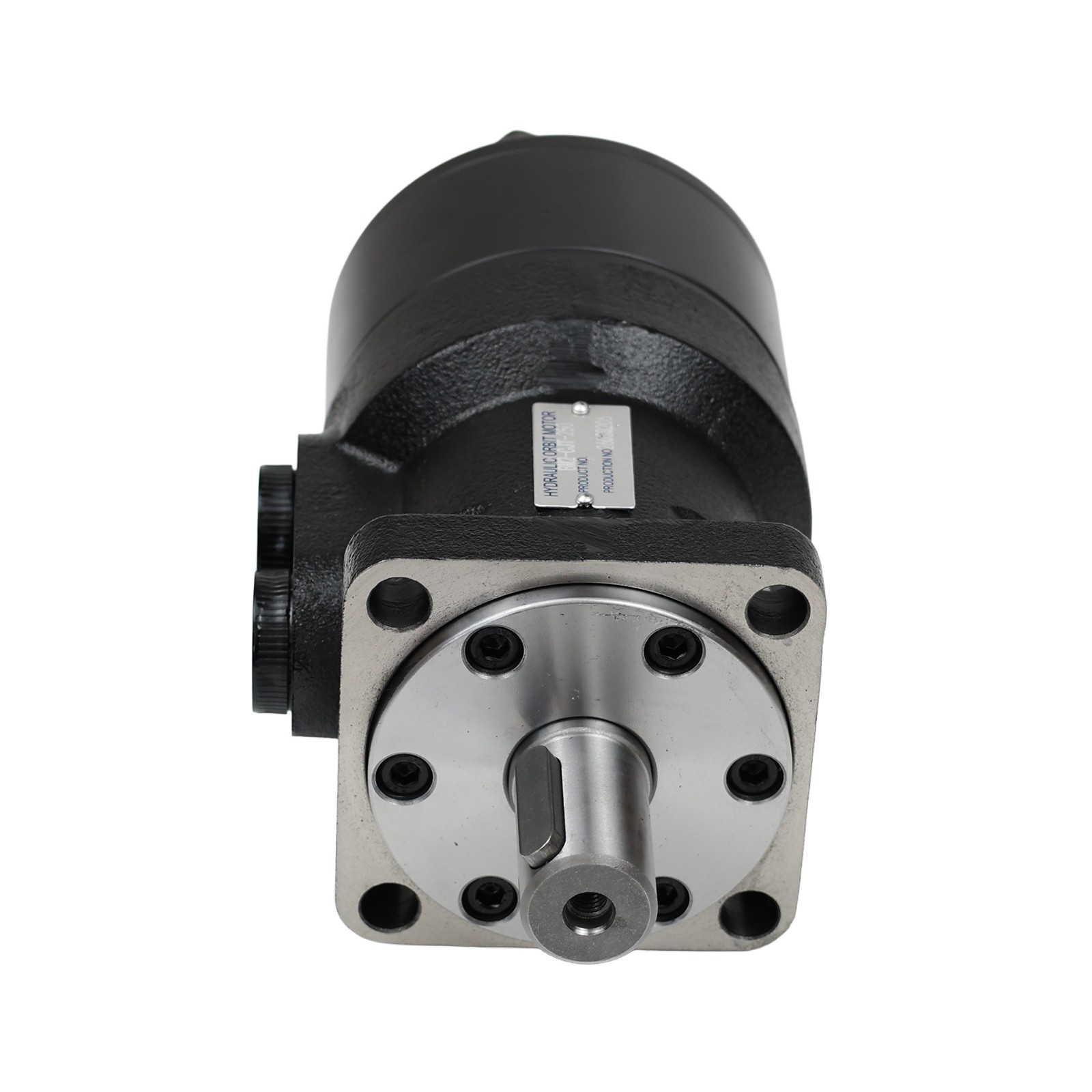 Swing Motor BM2-CJT-250 BM2CJT250 For Mini Excavator AGT-12S