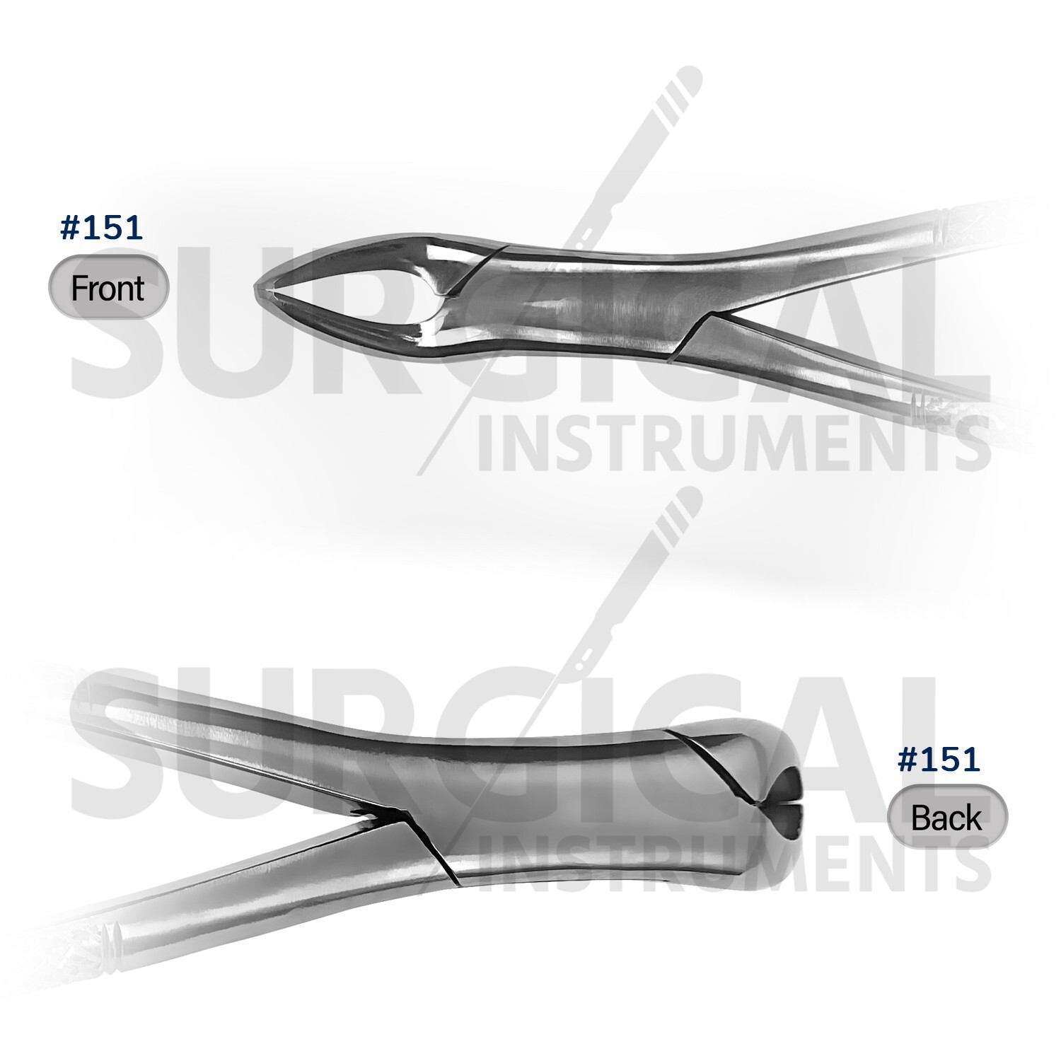 10 Pcs Extracting Forceps #150 & 151 Dental Instruments Stainless German Grade