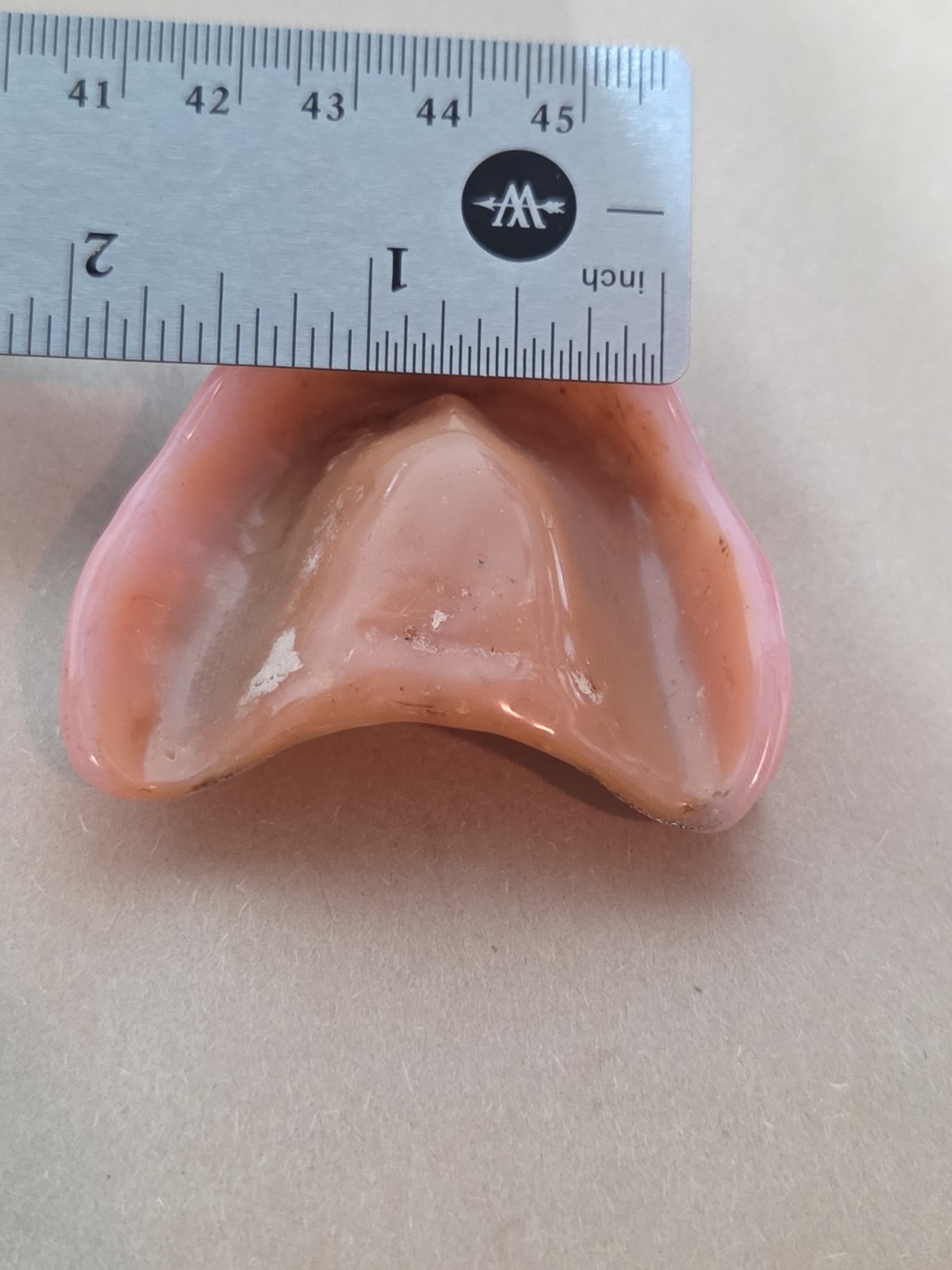 Dentures False Fake Teeth Upper Plate Dentist School Oddity Halloween Prop