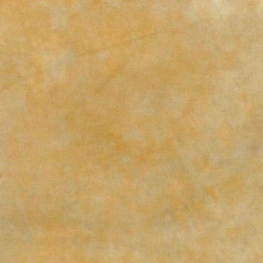Water-Based Concrete Stain Walttools 1 QUART Pro-Grade Eco-Friendly (Champagne)