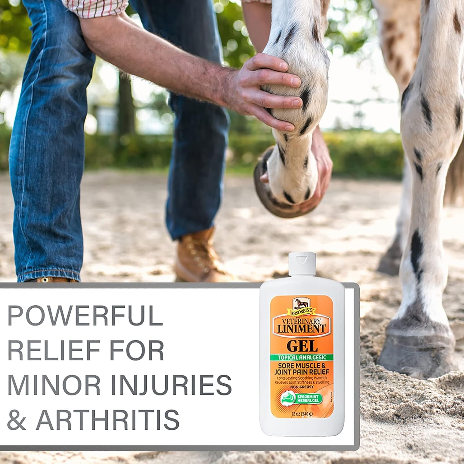 Absorbine Veterinary Liniment Topical Analgesic Sore Muscle 12 oz, LINPOULTA