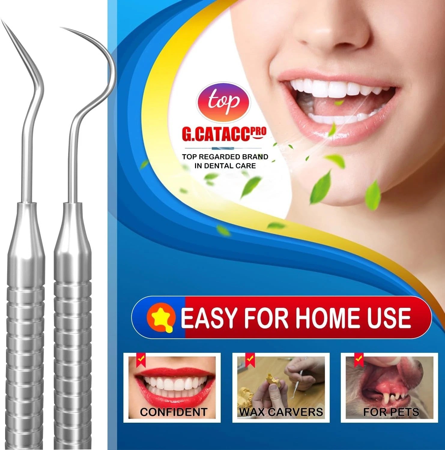 Dental Tools, Dental Pick for Teeth Cleaning, Stainless Steel Hygiene Kit