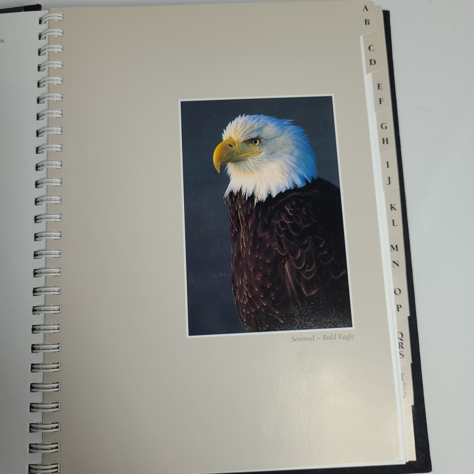 New: Images of Nature Address Book, Featuring Photos by Thomas Mangelsen