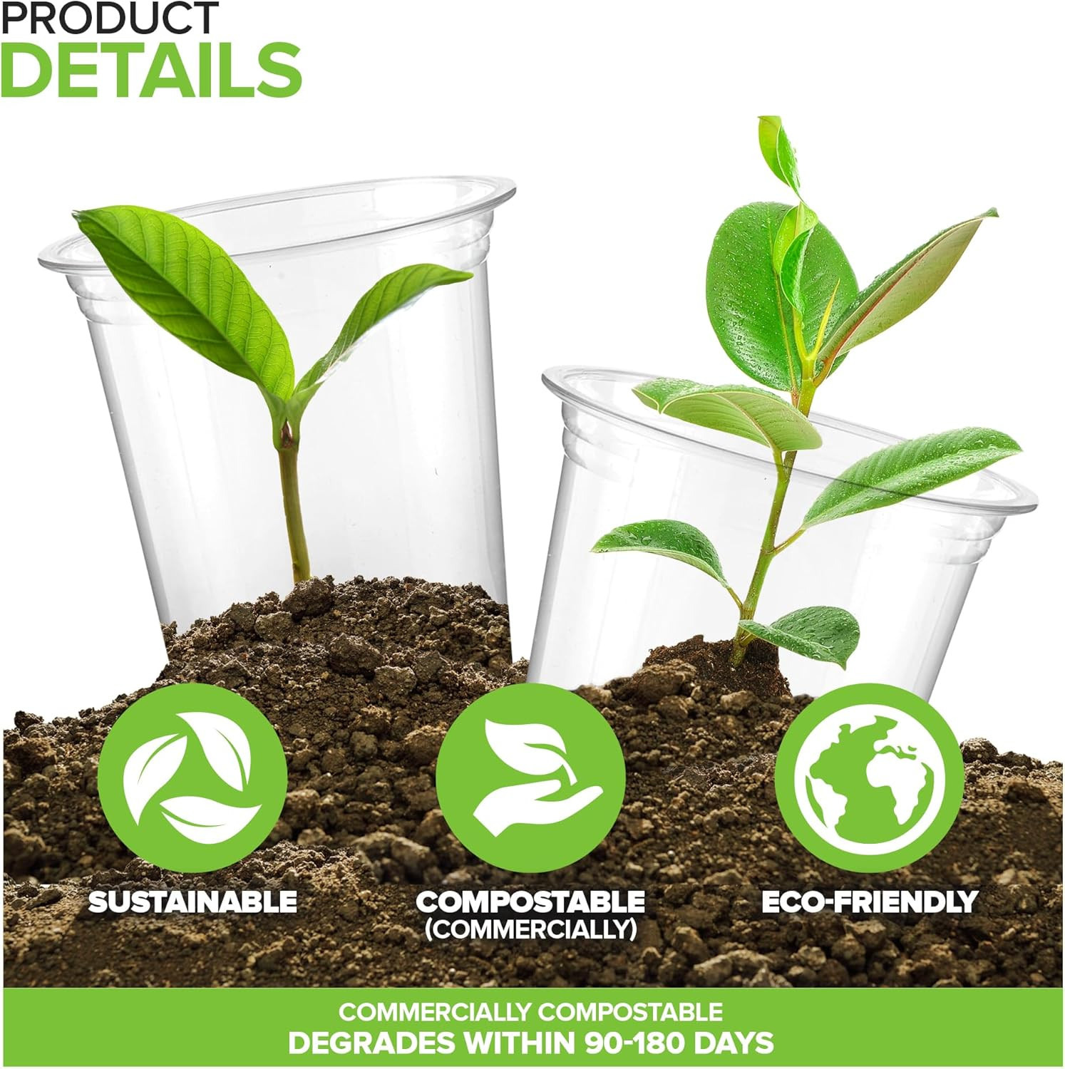 16 Oz Clear Commercially Compostable Cold Cups (50 Pack), Eco Party Cup, Environ