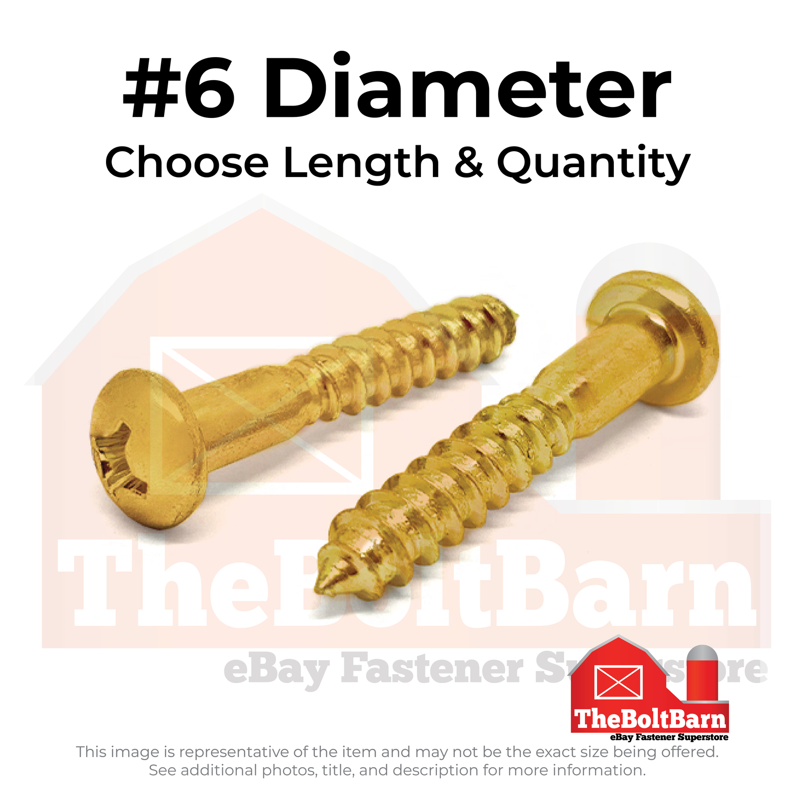 #6 Brass Phillips Round Head Wood Screws (Choose Length & Qty)
