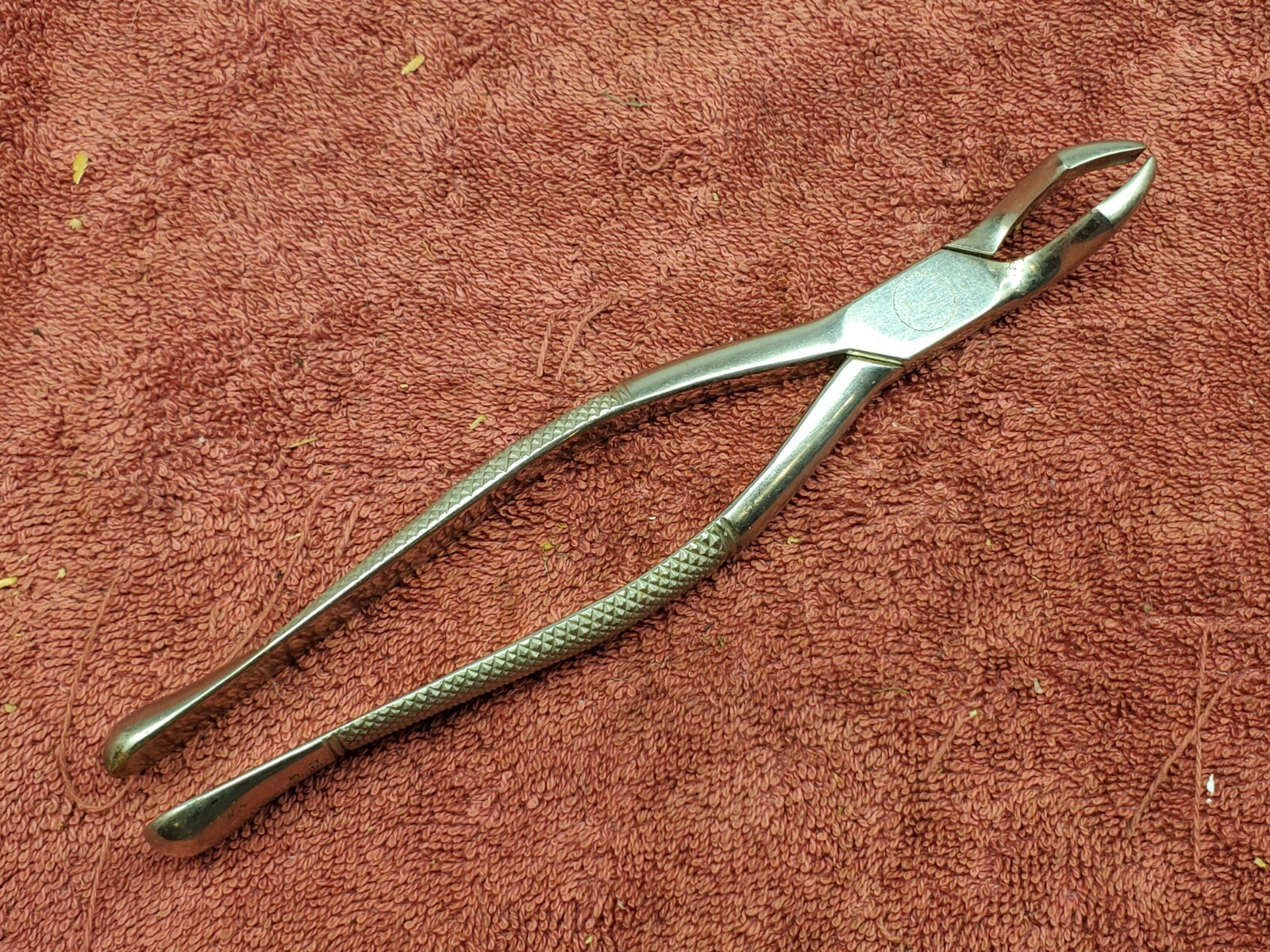 Vintage Clev Dent #3R Standard Bayonet Forcep.