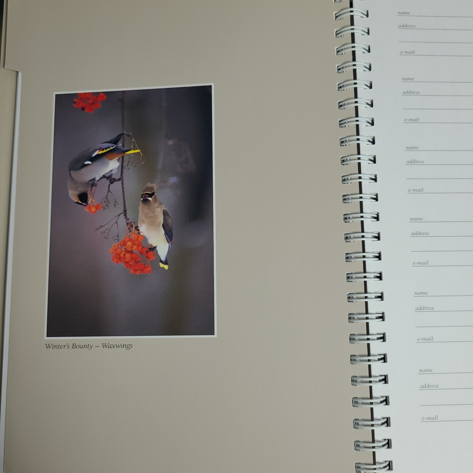 New: Images of Nature Address Book, Featuring Photos by Thomas Mangelsen