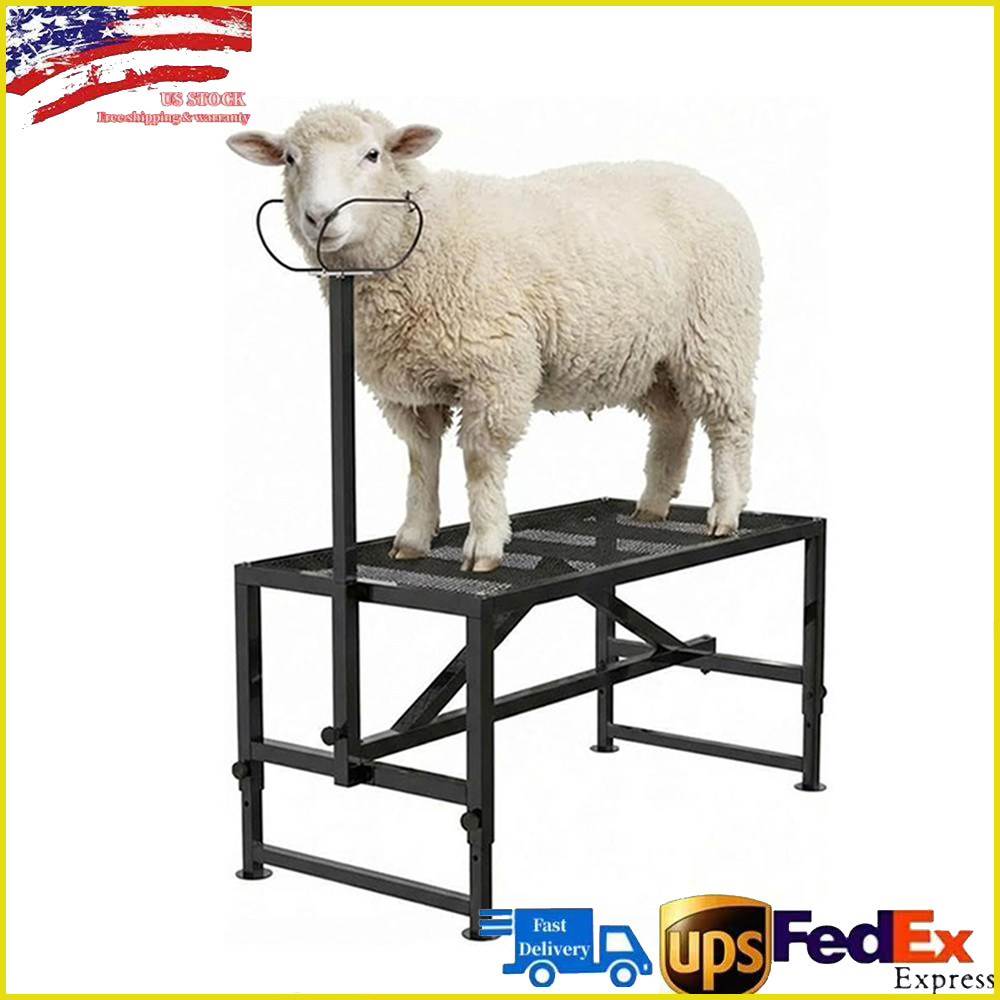 500lbs Goat & Sheep Stand 47×23 inch Livestock Stand 21″-33″ Height w/ Headpie
