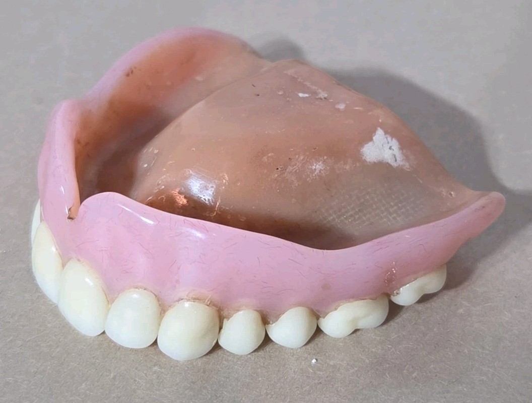 Dentures False Fake Teeth Upper Plate Dentist School Oddity Halloween Prop