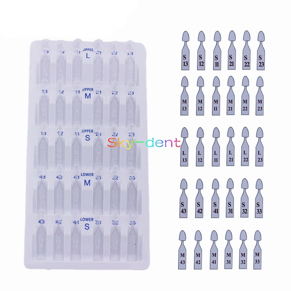 Dental Veneer Moulds Composite Resin Anterior Posterior Teeth Molar Restoration