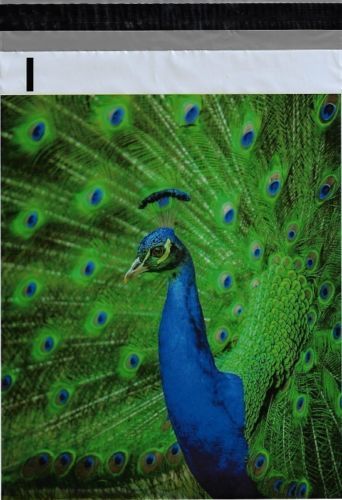 200 Bags 100 10×13 Blue Peacock, 100 10×13 Colorful Hearts Designer Poly Mailers