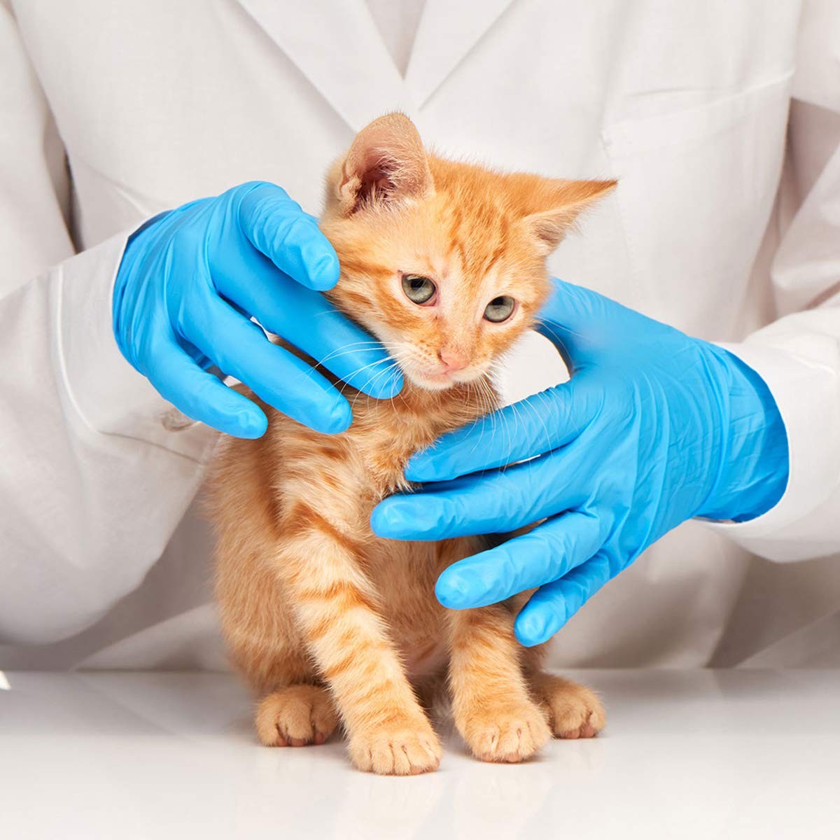Basic Medical Blue Nitrile Exam Gloves – Latex-Free & Powder-Free – NGPF 7003…
