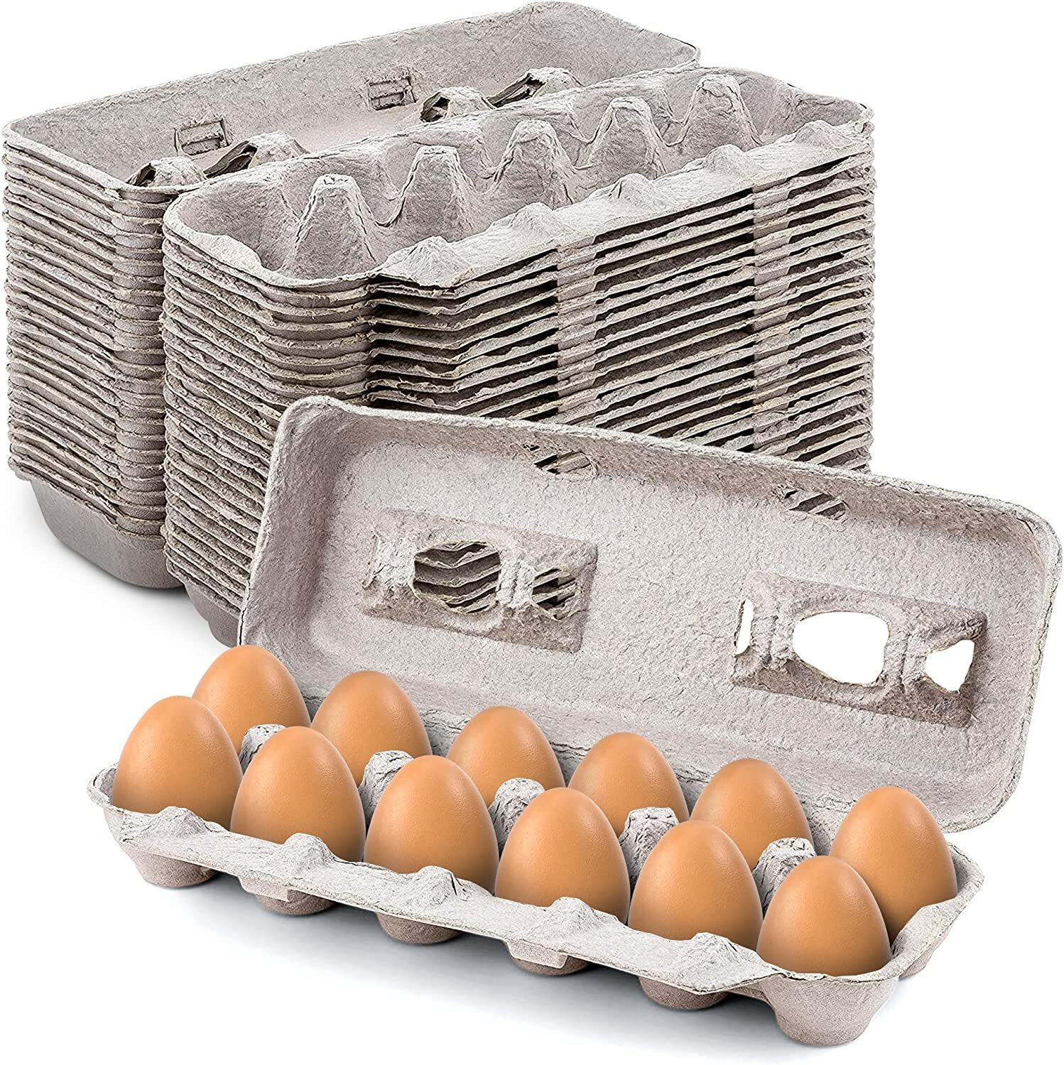 MT Products 12 Compartment Blank Natural Pulp Egg Cartons – Pack of 25