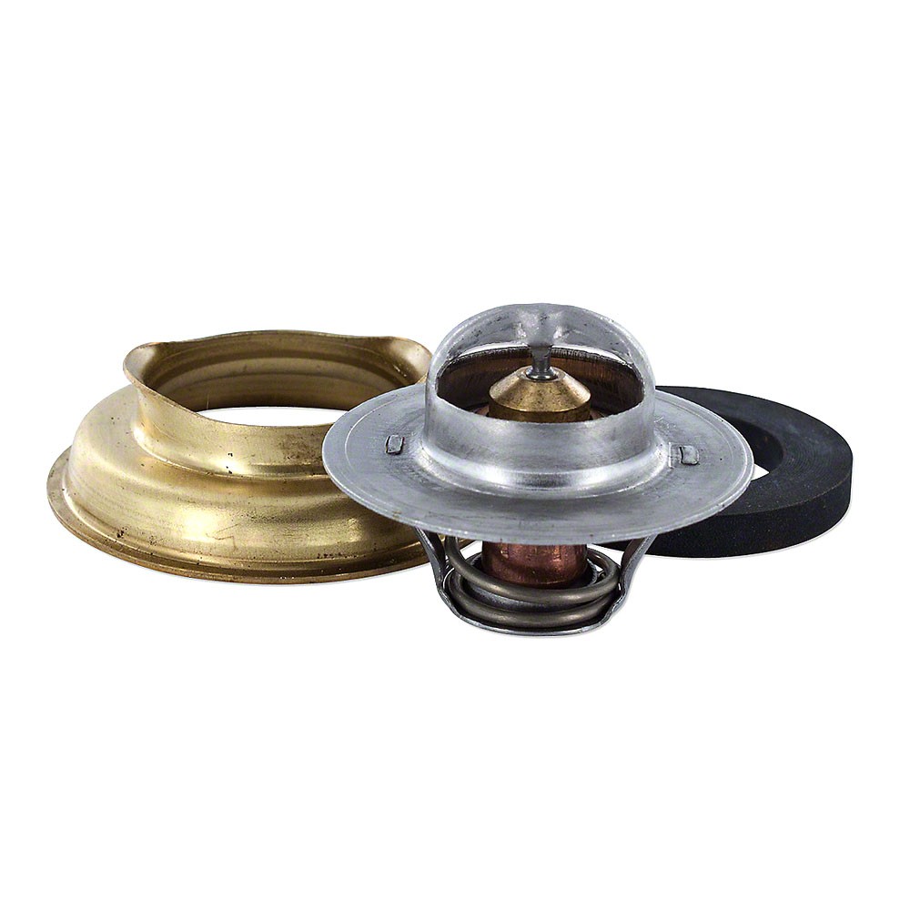 160 Degree Thermostat Fits Cockshutt Replaces TG10608