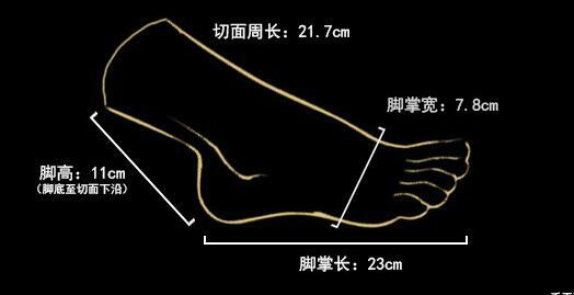 Silicone Female Legs Feet Model 1 Pair Size 38 Mannequin Shoes Socks Display