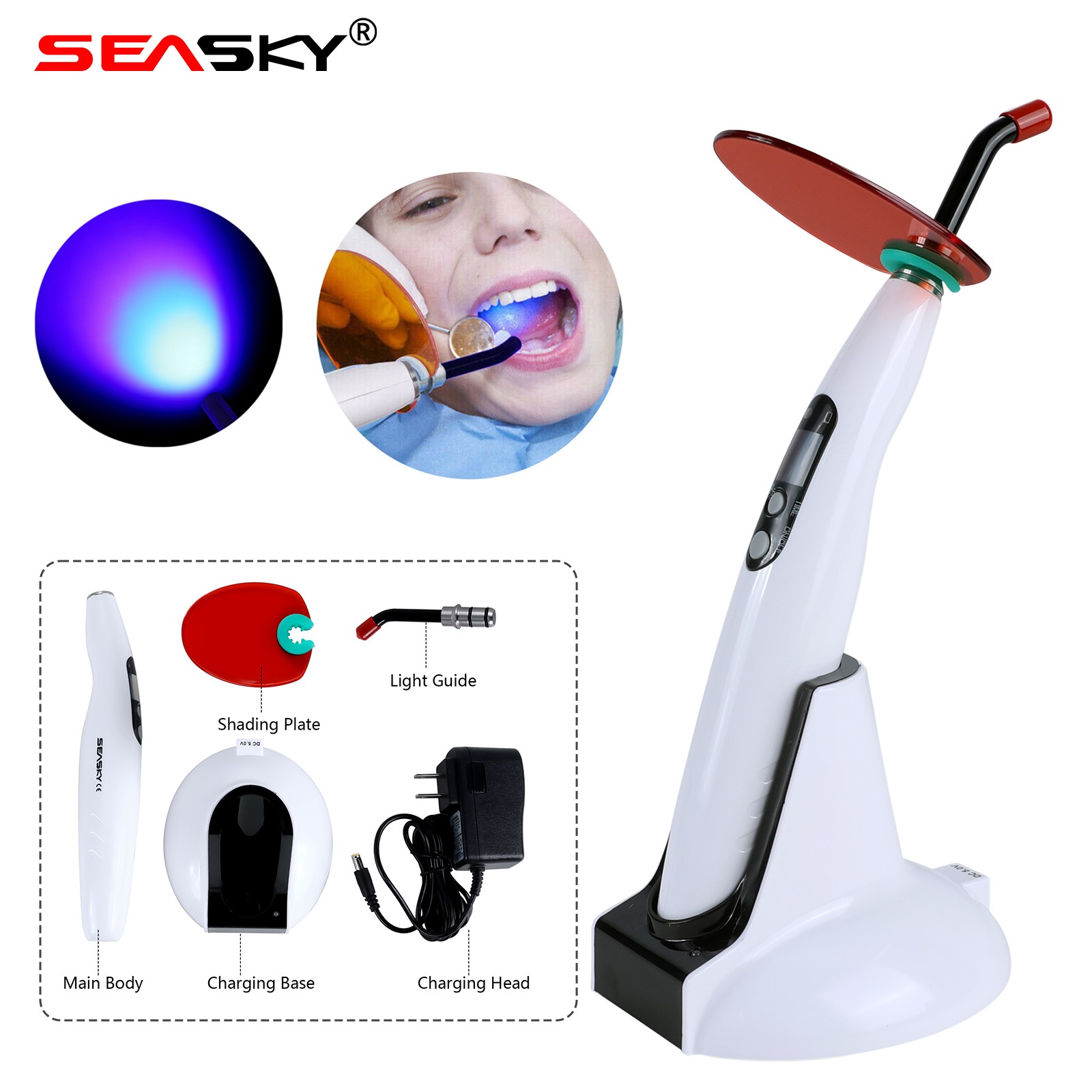 10Pc NSK PANA MAX Style Dental High Speed Handpiece Push Button Standard Head B2